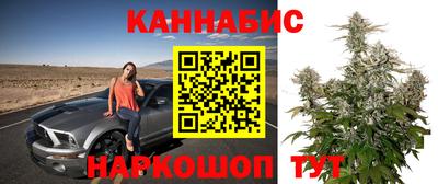 стафф Будённовск