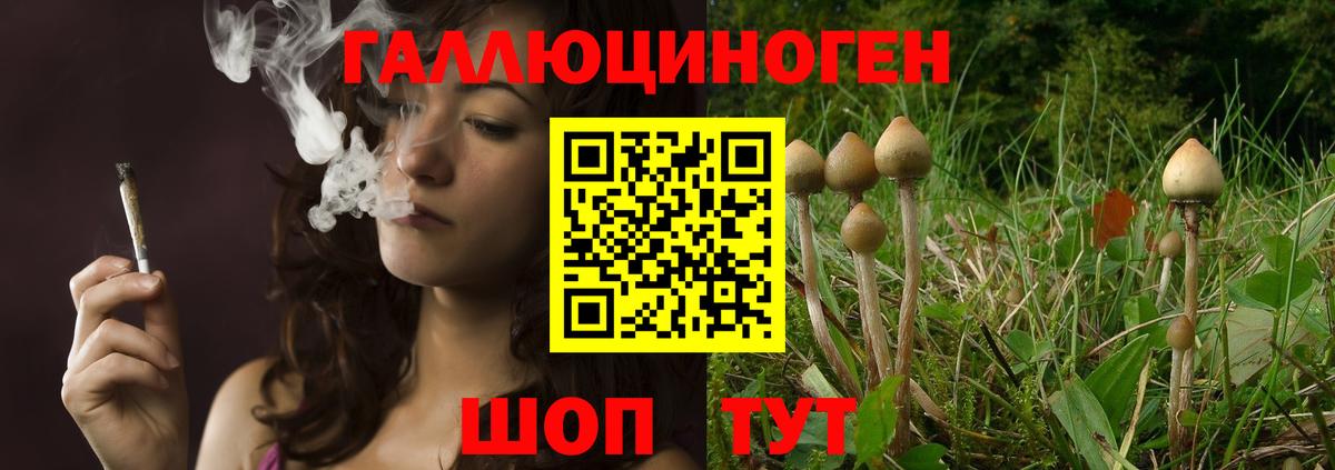 Псилоцибиновые грибы мицелий Пыть-Ях